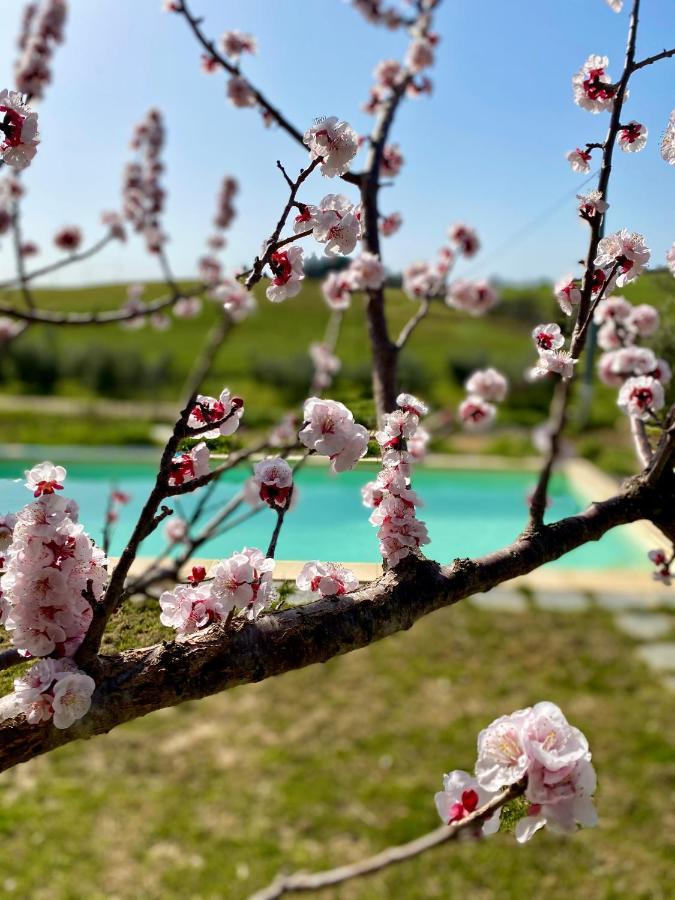 B&B Monte Di Bu Bagno Roselle Экстерьер фото