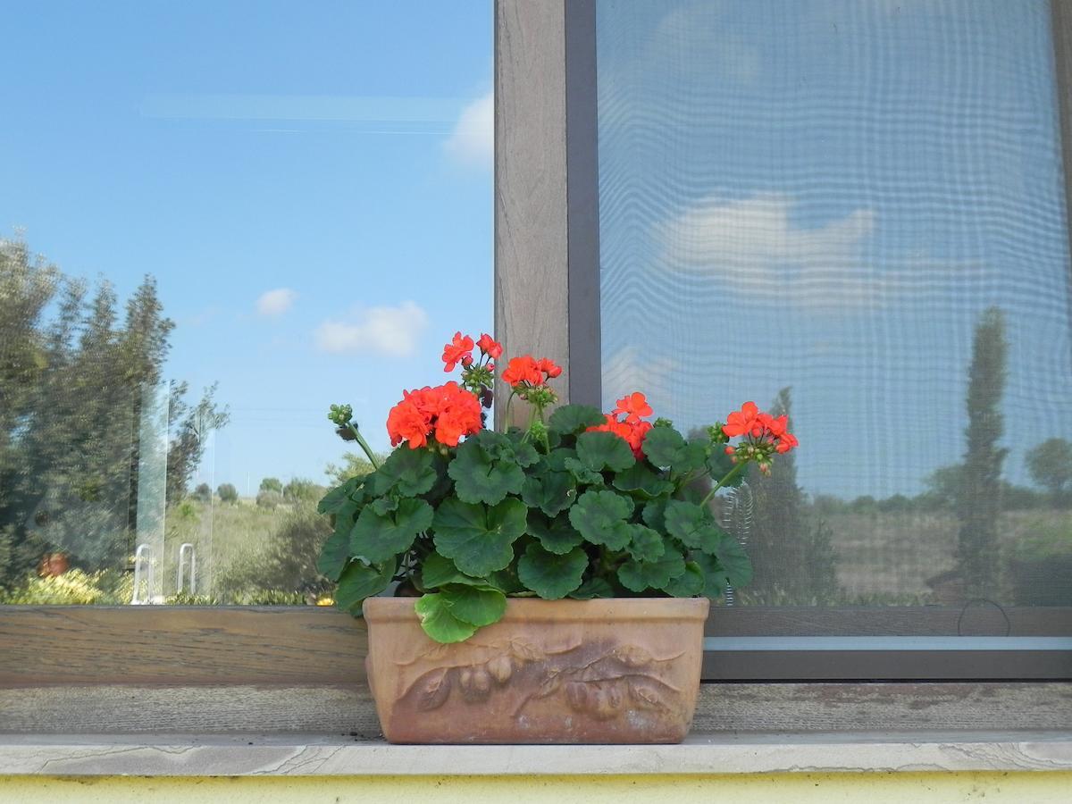 B&B Monte Di Bu Bagno Roselle Экстерьер фото