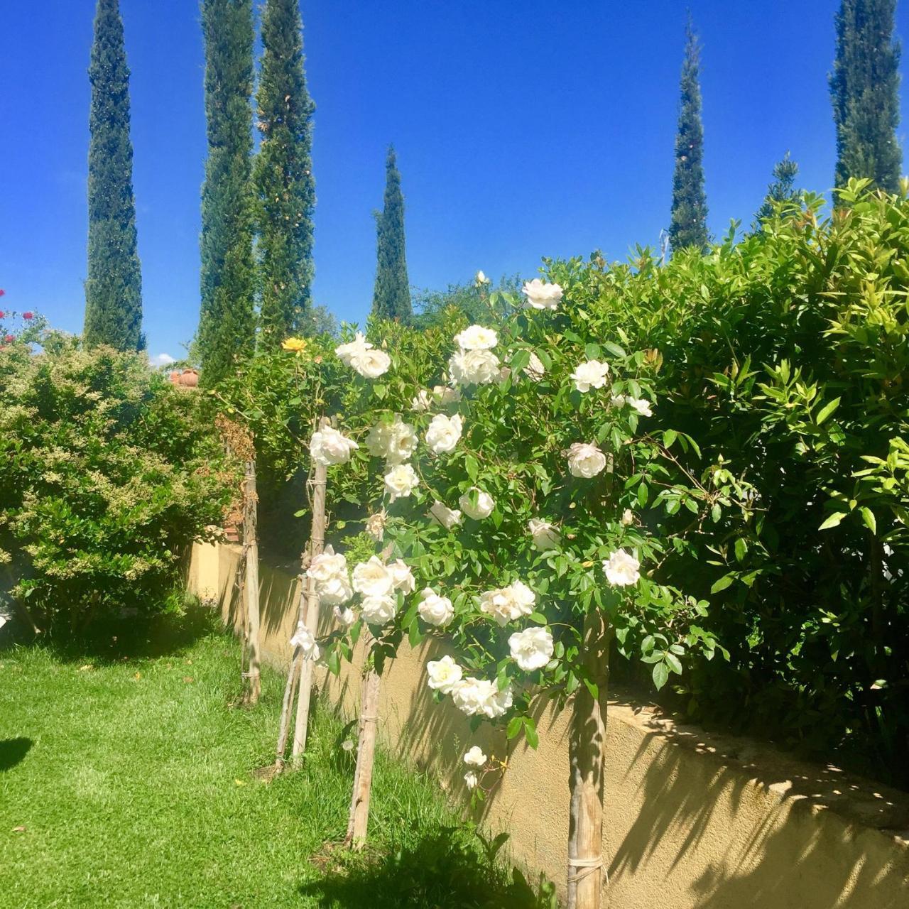 B&B Monte Di Bu Bagno Roselle Экстерьер фото