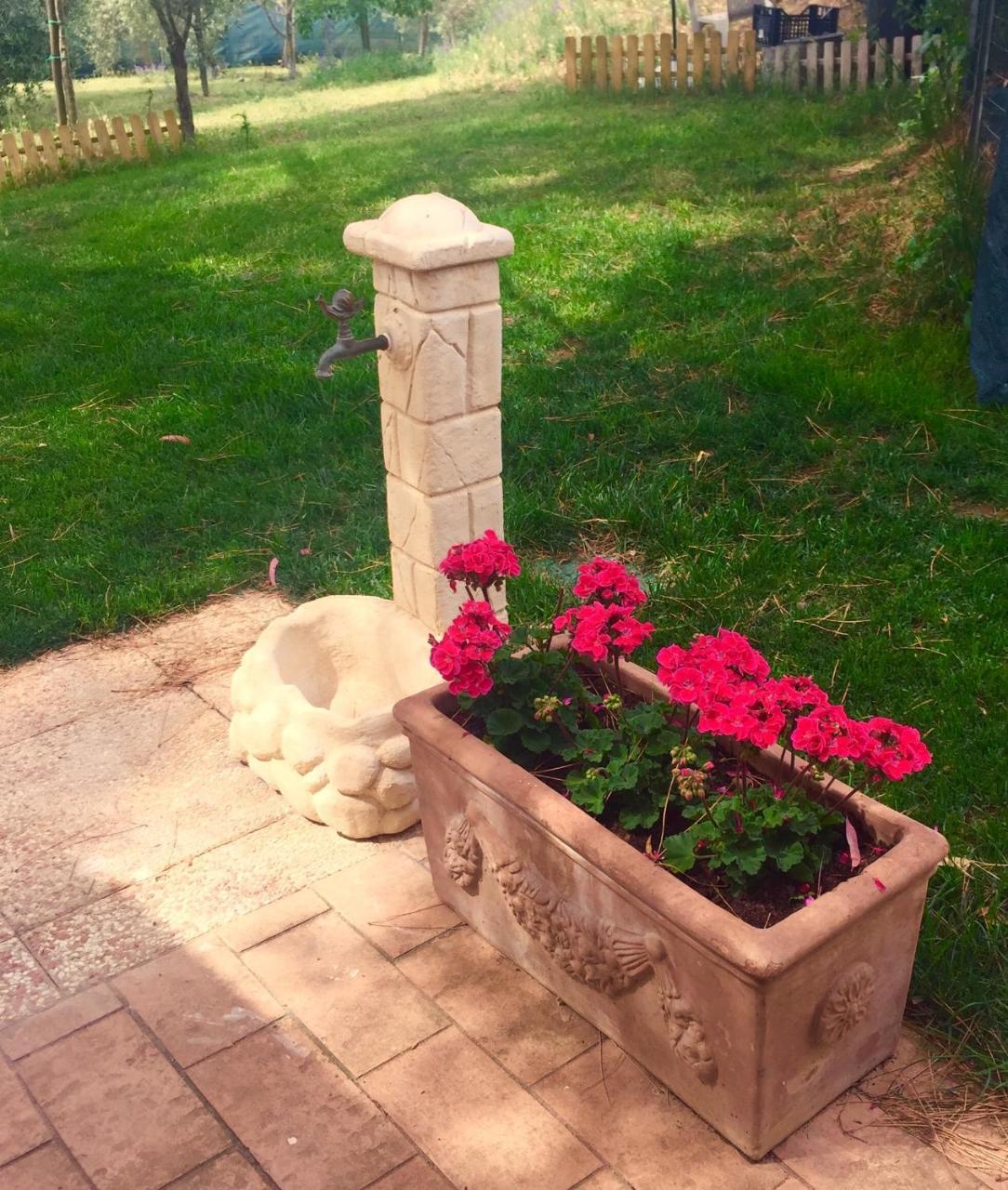 B&B Monte Di Bu Bagno Roselle Экстерьер фото